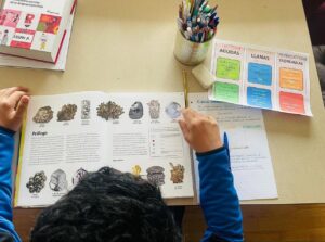 EDUCAÇÃO INTENCIONAL